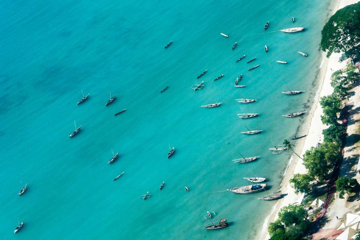 15-day safari and beach holiday in Tanzania with wildlife safari and tropical beach scenery